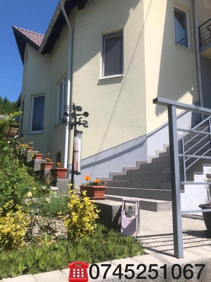 Casa Alessias Hotel Vişeu de Sus Esterno foto