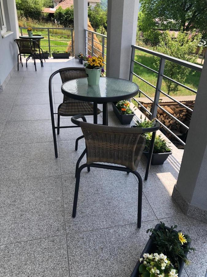 Casa Alessias Hotel Vişeu de Sus Esterno foto
