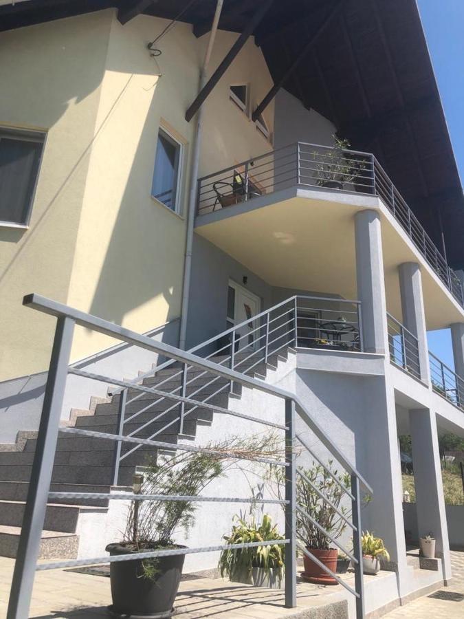 Casa Alessias Hotel Vişeu de Sus Esterno foto