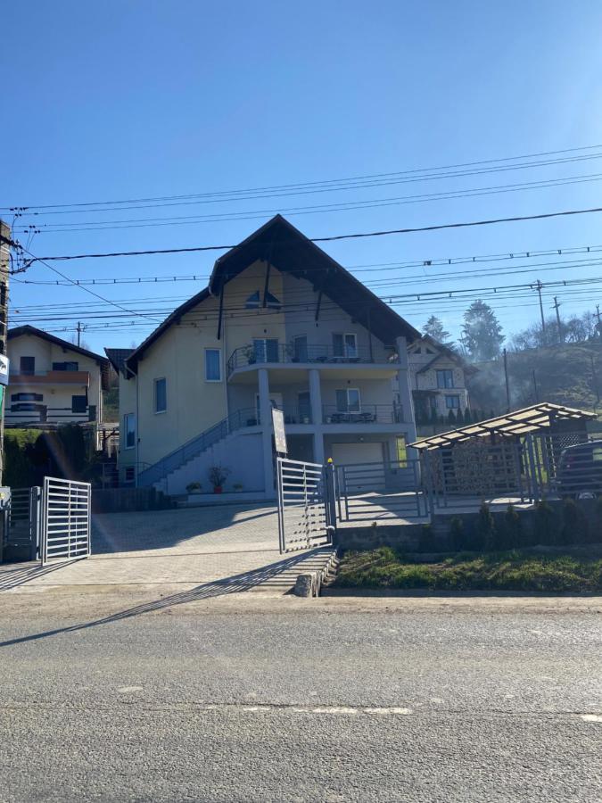 Casa Alessias Hotel Vişeu de Sus Esterno foto
